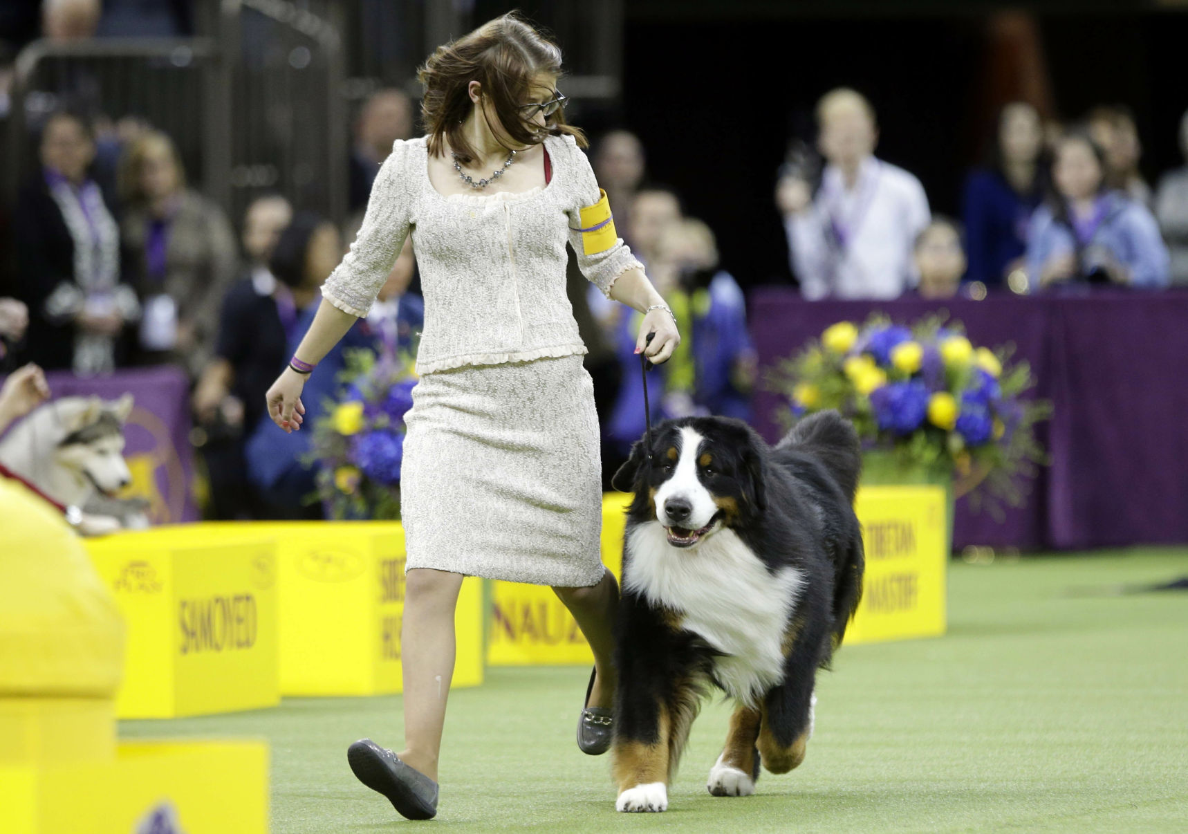Westminster Dog Show
